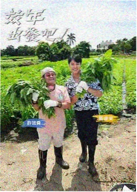 旧物修理铺 悟空综艺在线观看纪实节目封面
